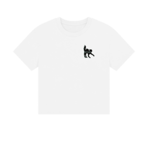 Stray x Cat Wizard - Women's Panther-Cat Boxy-T