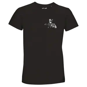 Product image used in the stray music store